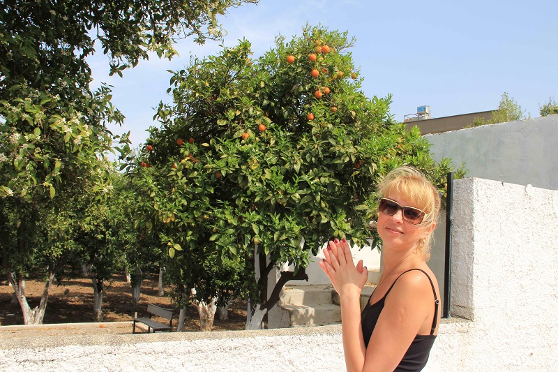 N.7481
Irina 
56 anni
180 cm
Kiev